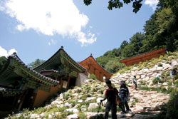 20110414113602_6_spring_tra6_t5862FfNIAQQAJm_3cKmxdTmfnhdCmA.jpg