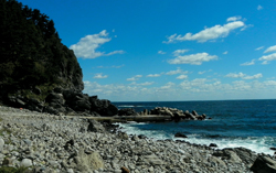 20110414141734_2_spring_tra17_94lefKdeAE_I237FPM86.jpg