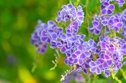 9X52VOf_VY4BKelp9f2WNS_jEpDxg1u6UDgwKj.jpg
